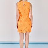 Floral Embroidered Mini Dress