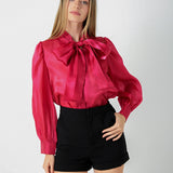 Organza Blouse Top