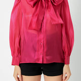 Organza Blouse Top