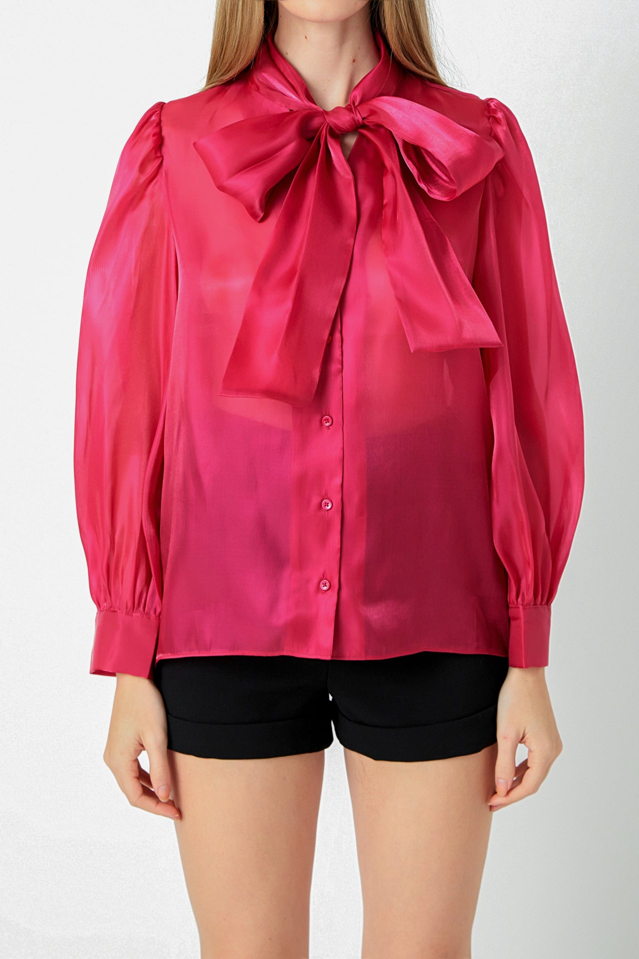 Organza Blouse Top – Endless Rose