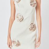 Premium Corsage Mini Dress