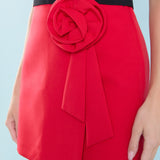 Corsage Mini Skirt
