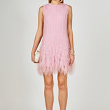 Tulle Ruffled Mini Dress