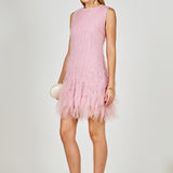 Tulle Ruffled Mini Dress