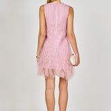 Tulle Ruffled Mini Dress
