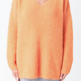 Furry V Neck Sweater