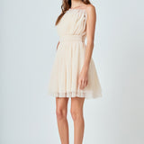 Strapless Mini Tulle Dress