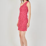 Mesh Trimmed One Shoulder Mini Dress
