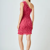 Mesh Trimmed One Shoulder Mini Dress