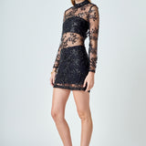 Sequins Embroidered Mini Dress