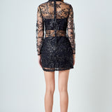 Sequins Embroidered Mini Dress