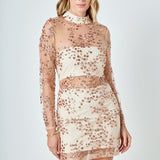 Sequins Embroidered Mini Dress