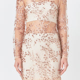 Sequins Embroidered Mini Dress