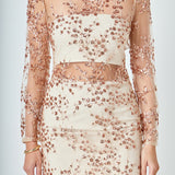 Sequins Embroidered Mini Dress
