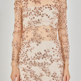 Sequins Embroidered Mini Dress