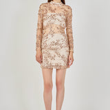 Sequins Embroidered Mini Dress
