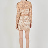 Sequins Embroidered Mini Dress