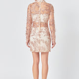 Sequins Embroidered Mini Dress