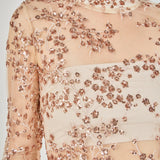 Sequins Embroidered Mini Dress