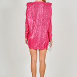 Sequins Long Sleeve Shift Mini Dress