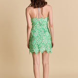 Lace Mini Dress