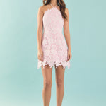 Endless Rose - Lace Mini Dress PINK/PLUM / S Endless Rose - Lace Mini Dress PINK/PLUM / S