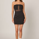 Strapless Mesh Mini Dress