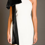 One Shoulder Bow Tie Mini Dress
