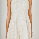 Floral Embroidered Mini Dress