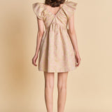 Jacquard Print Mini Dress