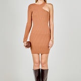 Cut Out One-Sleeve Knit Dress