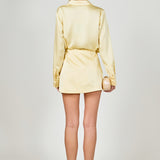 Satin Mini Skirt