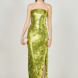 Sequins Applique Midi Dress