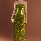 Sequins Applique Midi Dress