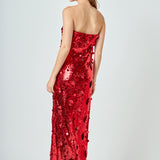 Sequins Applique Midi Dress