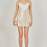 Sequin Lace Mini Dress