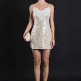 Sequined Lace Mini Dress