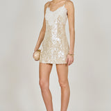 Sequin Lace Mini Dress