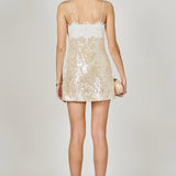 Sequin Lace Mini Dress