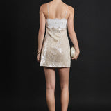 Sequined Lace Mini Dress