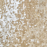 Sequin Lace Mini Dress