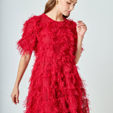 Textured Mesh Mini Dress