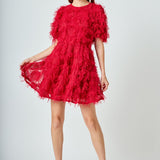 Textured Mesh Mini Dress