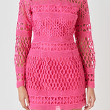 Long Sleeve Crochet Mini Dress