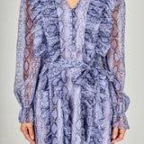 Button Down Long Sleeve Ruffled Mini Dress