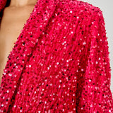 Sequins Velvet Blazer
