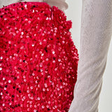 Sequins  Velvet Skirt