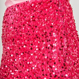 Sequins Velvet Skirt