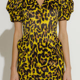 Leopard Print Mini Dress