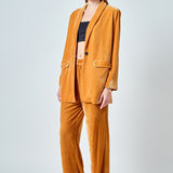 Velvet Wide Leg Pants